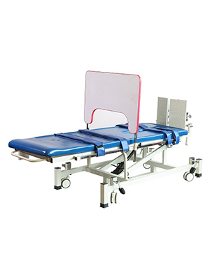 電動(dòng)直立床(升級款） (2